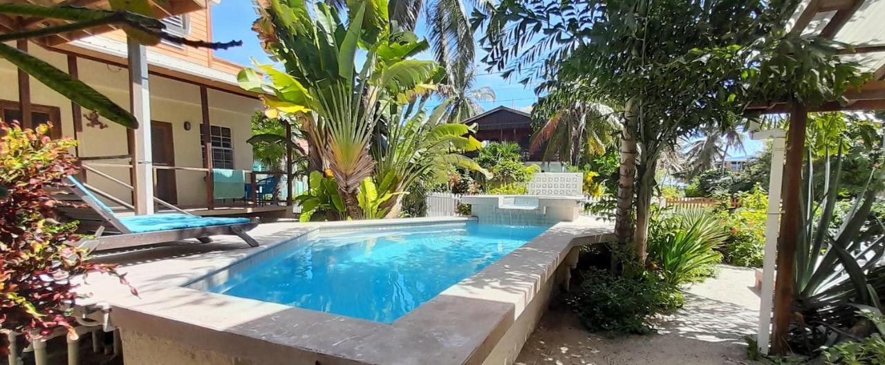 Amanda'S Place Green Studio - Pool And Tropical Garden Caye Caulker Exterior photo