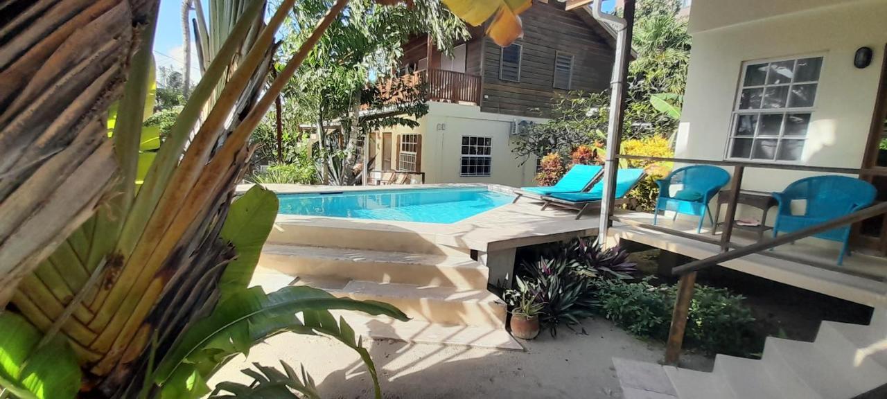 Amanda'S Place Green Studio - Pool And Tropical Garden Caye Caulker Exterior photo