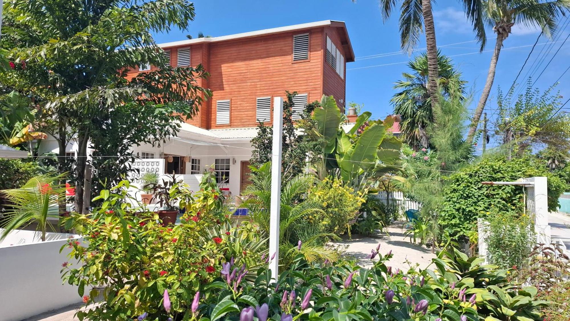 Amanda'S Place Green Studio - Pool And Tropical Garden Caye Caulker Exterior photo